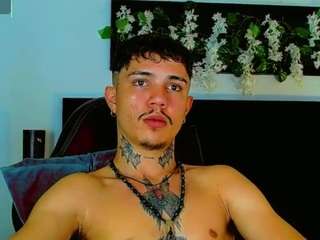 hannilest webcam