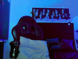 hannilest webcam