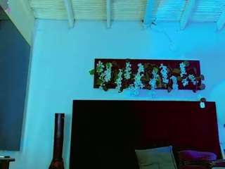 hannilest webcam