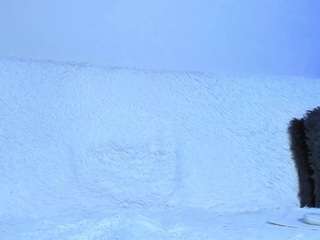 gorgeous-luna