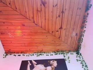 Naiax live webcam on Soda Cams