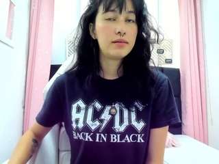 camcrush4 webcam