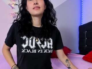 camcrush4 webcam model
