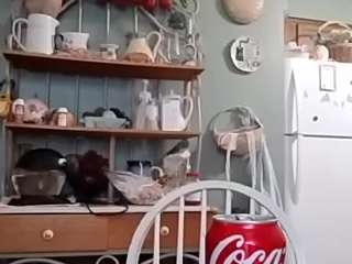 amylunaaa webcam