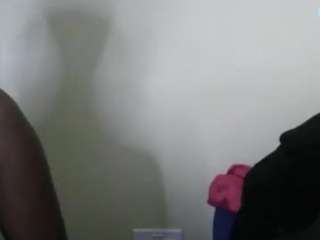 vivilavy