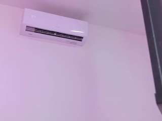 mg-celeste