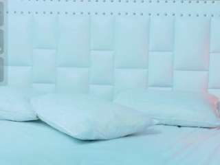 hornybarelylegalgirl webcam