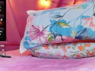 hornybarelylegalgirl webcam