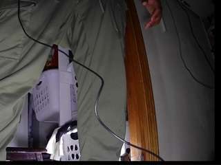 capitoortega808 webcam
