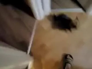 Polish41's Live Sex Cam Show
