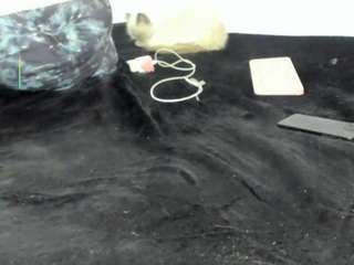 anastasia-danger's CamSoda show and profile