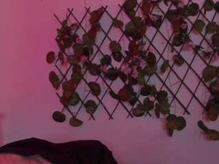cassidey1 from CamSoda is Freechat