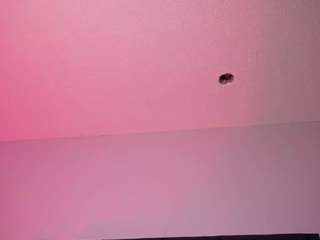 tiffany-sander webcam model