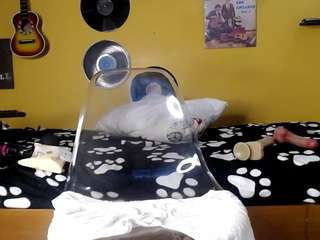 todayangel18