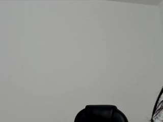 misseylenss