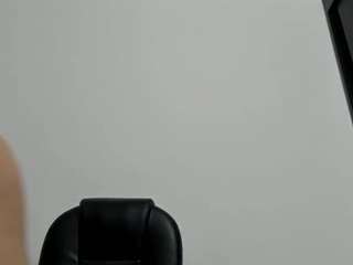 misseylenss