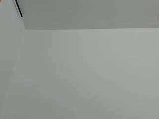 misseylenss