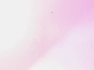 dalila-sky webcam