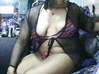 gardeniafields webcam