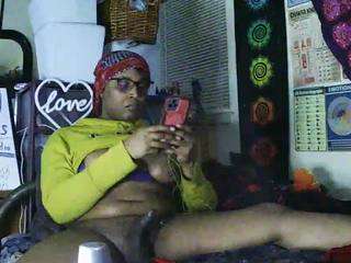 gardeniafields webcam model