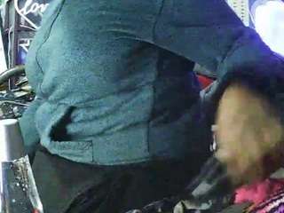 gardeniafields webcam model