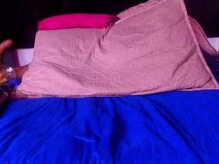  shelsy-lord chat room