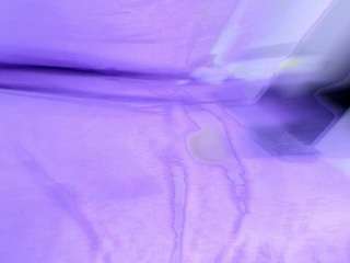 shelsy-lord webcam model