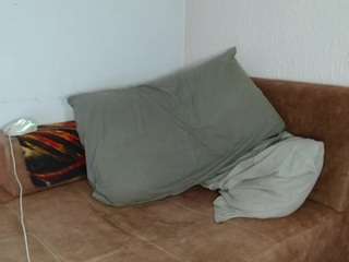 myamillor live cam profile