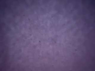 camimila9