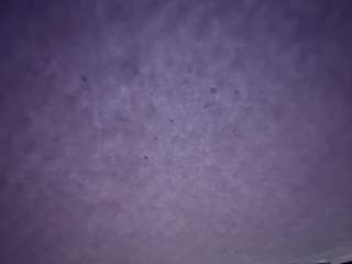 camimila9