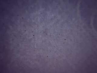camimila9