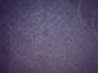 camimila9