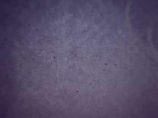 camimila9