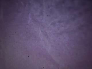 camimila9