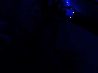 apriljades18 live webcam show