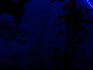 NathaliaandMateo