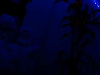 NathaliaandMateo