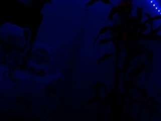 NathaliaandMateo