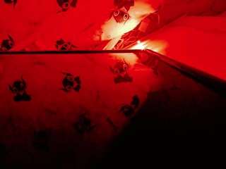 NathaliaandMateo live cam preview