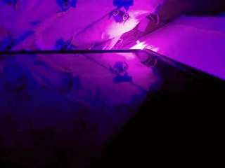 NathaliaandMateo live cam preview