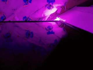 NathaliaandMateo live cam preview