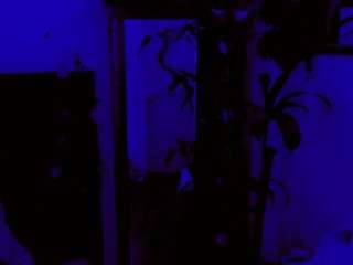 NathaliaandMateo live cam preview