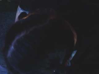 PleasureYouu