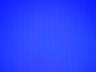 laaralatea webcam