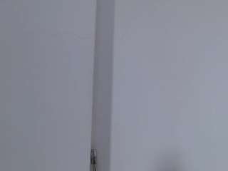 isabel-24