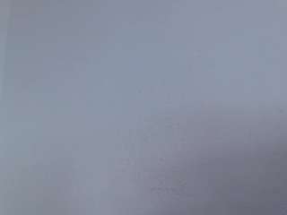 isabel-24