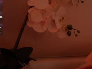 LilyCollins18 live cam preview
