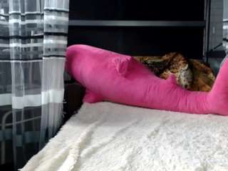 lollyfox Live Webcam on CamSoda