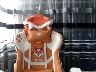 lollyfox