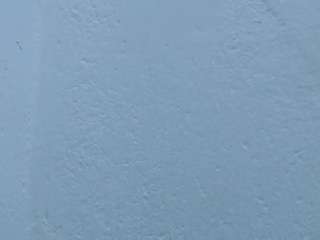 pamelaa-19